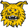 Ilves W