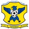 Mineiros