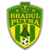 Bradul Putna