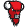 Bisons Loimaa