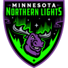 Minnesota Northern Lights