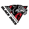 Black Dogs Budweis