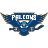 Fresno Falcons