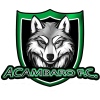 Acambaro