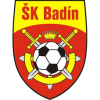 Badin