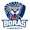 Boras (Swe)
