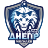 Dnepr Mogilev W