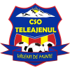 Valenii de Munte