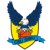 CSU Sibiu (Rou)