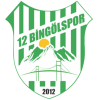 12 Bingol