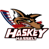 Hasselt
