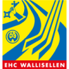 Wallisellen (Sui)