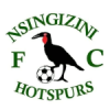 Nsingizini Hotspurs (Esw)