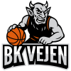 Vejen