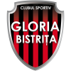 Gloria Bistrita W