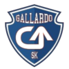 Gallardo W