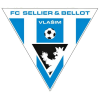 Vlasim