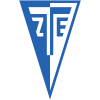 ZTE W