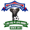 Young Elephant Academy
